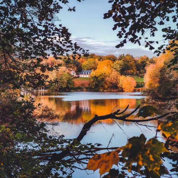 Etangs des Sept Fontaines